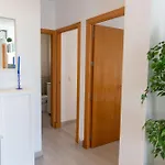 El Embrujo De La Caleta By Gades Gestion 加的斯
